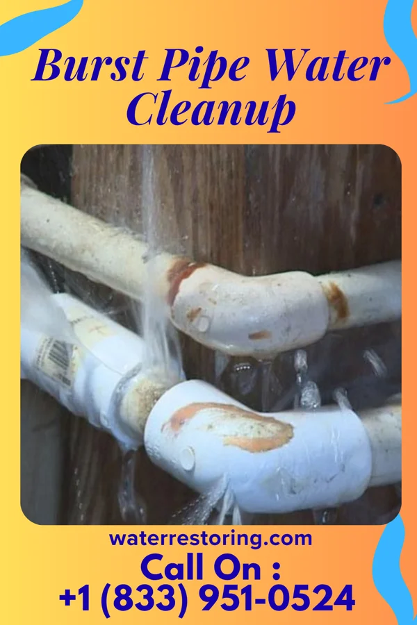 Burst Pipe Water Cleanup in Sunrise Lake, PA