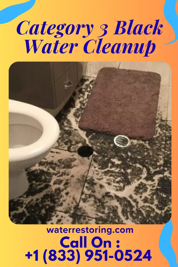 Category 3 Black Water Cleanup in Sunrise Lake, PA