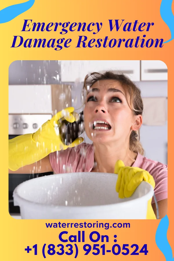 Emergency Water Damage Restoration in Sunrise Lake, PA