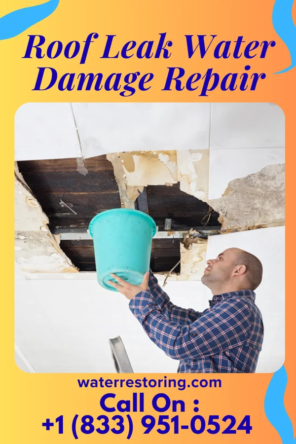 Roof Leak Water Damage Repair in Sunrise Lake, PA