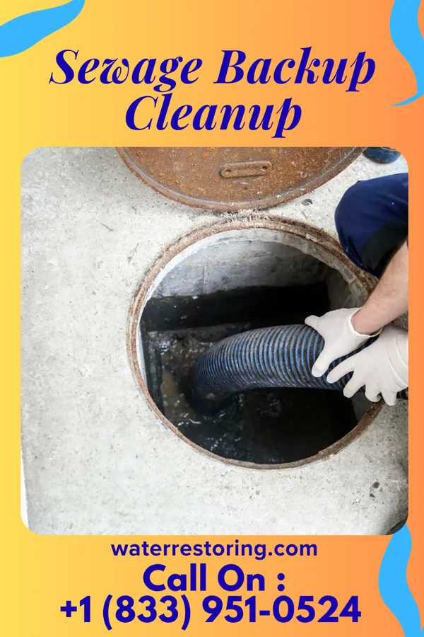 Sewage Backup Cleanup in Sunrise Lake, PA