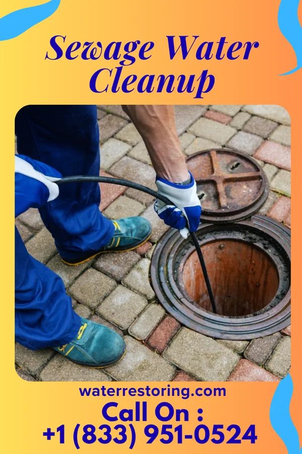 Sewage Water Cleanup in Sunrise Lake, PA
