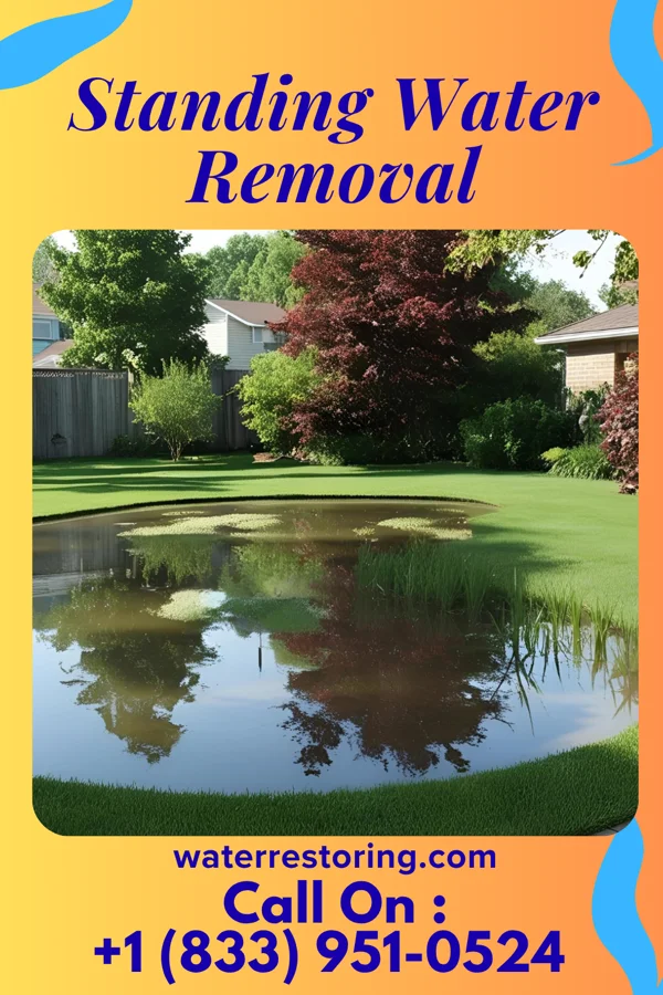 Standing Water Removal in Sunrise Lake, PA